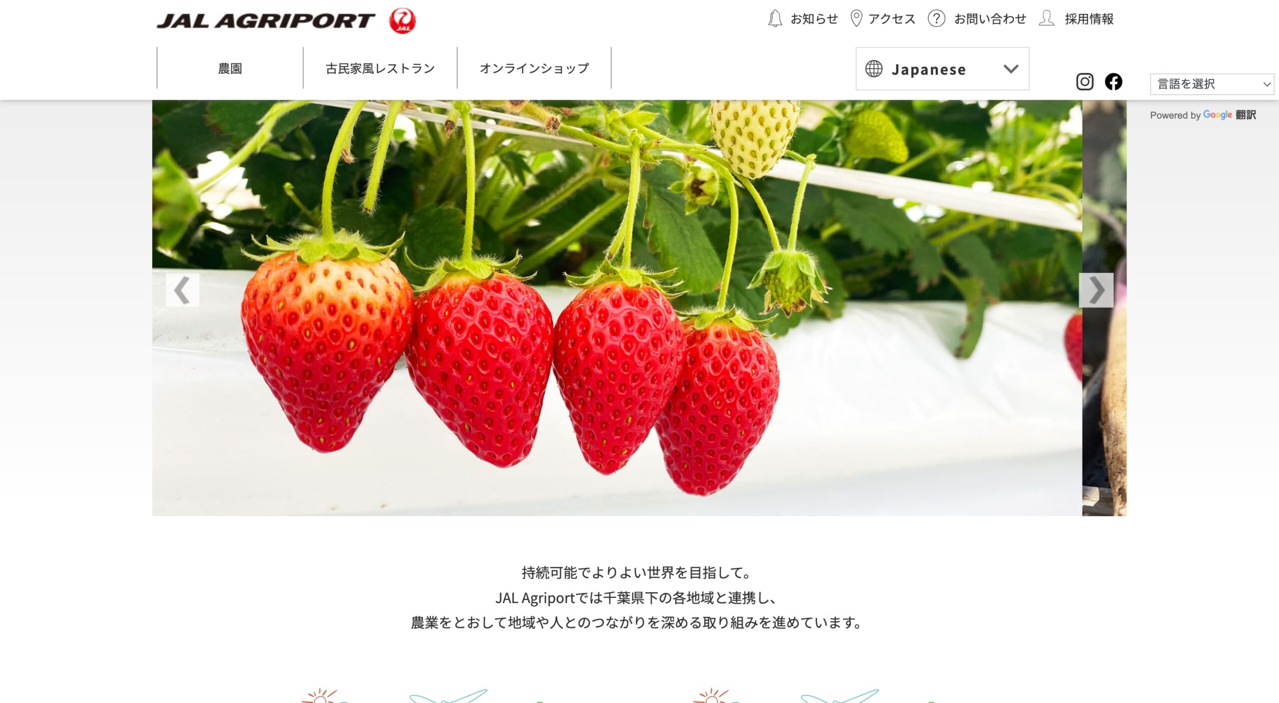 JAL Agriport株式会社 コーポレートサイト